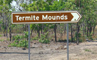 The termite mounds on the Arnhem Highway from Darwin to Kakadu National Park in Northern Territory Australia