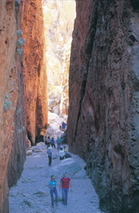 Standley Chasm courtesy of NT Tourism
