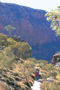 Larapinta Trail - Ormiston Gorge - West MacDonnell ranges travel guide and tours courtesy of Northern Territory Tourism